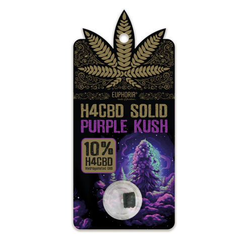 A pack of Euphoria H4CBD Solid Hash 10% - Purple Kush